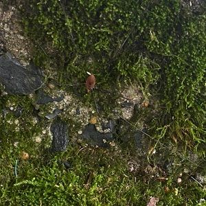 Meet your Posher, Tasha